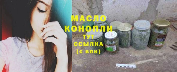 гидра Козловка