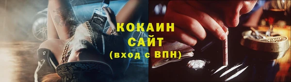 гидра Козловка
