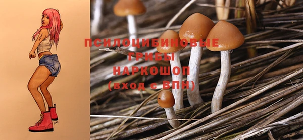 гидра Козловка